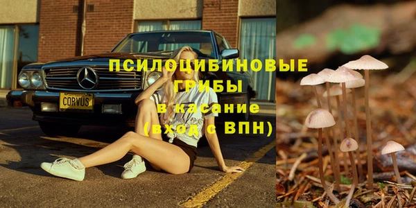 соль курить ск Покровск