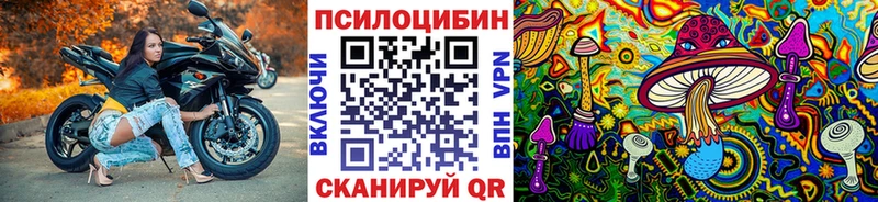 Псилоцибиновые грибы Psilocybe  Купить  Завитинск 
